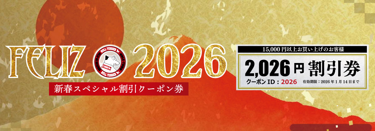 新年明けましておめでとうございます