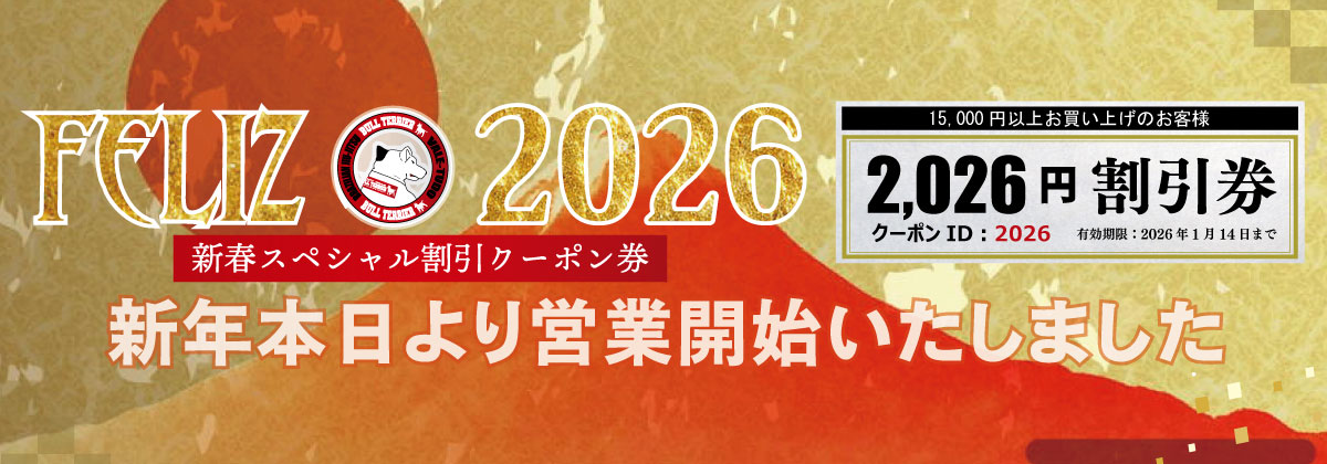 新年お祝いクーポン2026