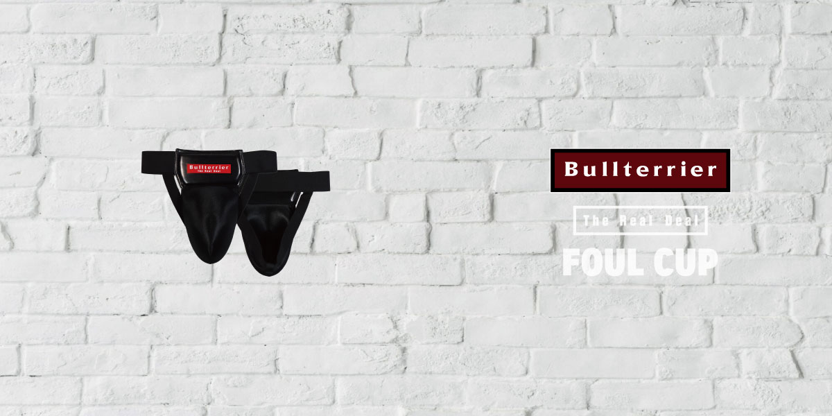BULL TERRIER ファールカッププロテクター Basic DX