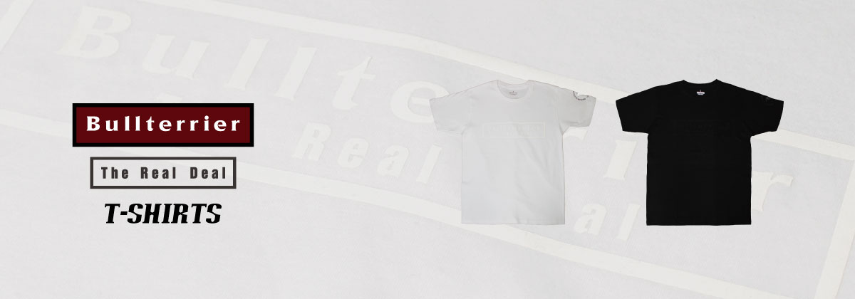 BULL TERRIER Tシャツ ボックスロゴフロ