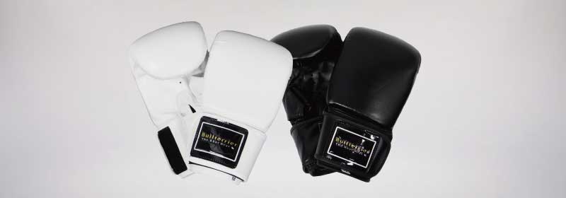その他グローブ