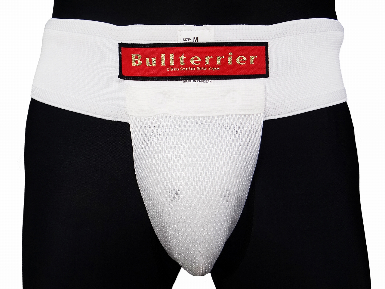 BULL TERRIER ファールカップ＆サポーター