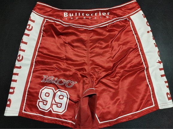 ファイトショーツ作製例8 バック