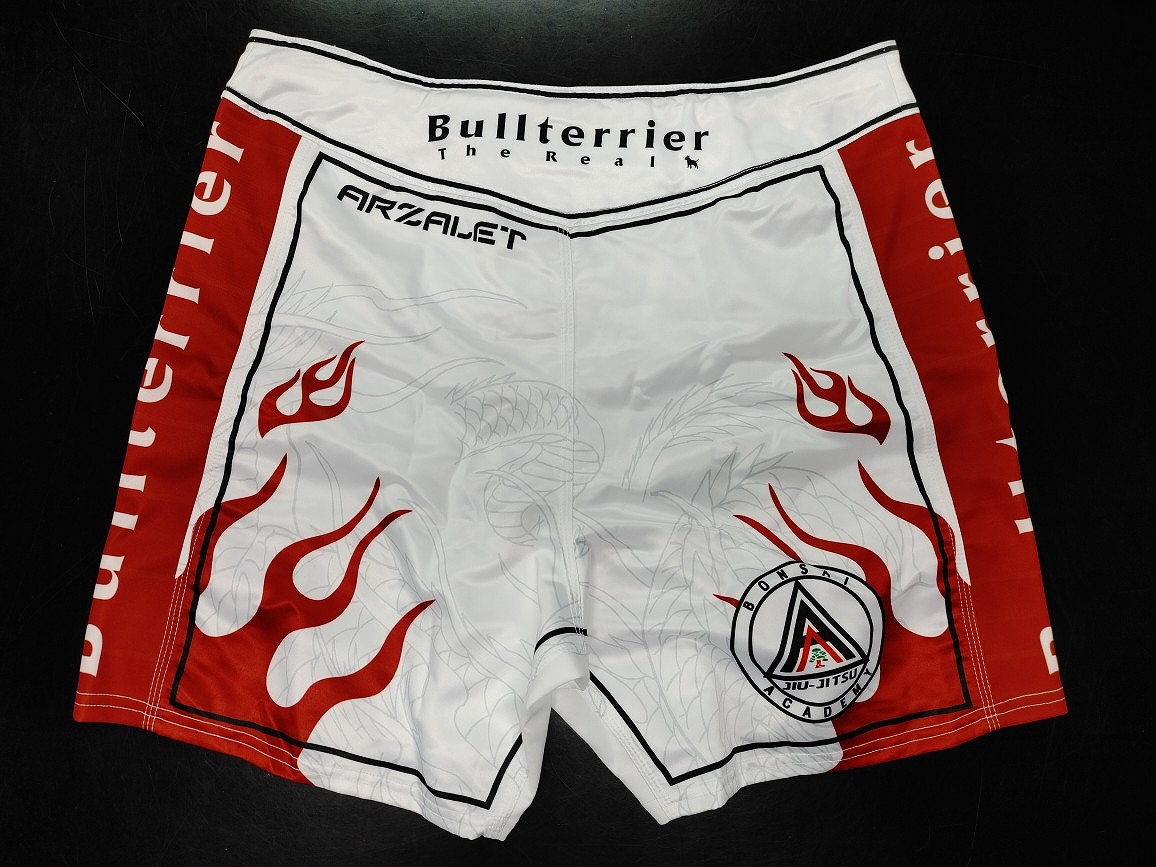 ファイトショーツ作製例５ バック