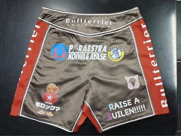 ファイトショーツ作製例10　バック