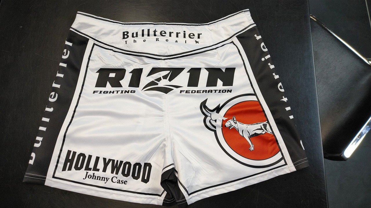 ファイトショーツ作製例9　バック