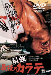 DVD　最強最後のカラテ
